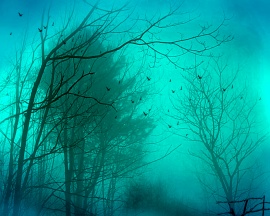 Mist Wallpaper