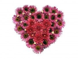 Pink Hyacinths Heart Wallpaper