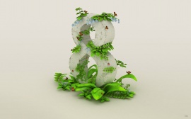 8 March Wallpaper