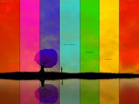 Multicolor reflection Wallpaper