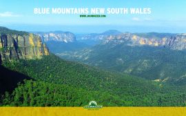 Blue Mountains Wallpaper