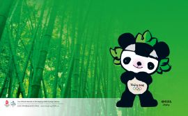 Jing Jing bamboo Wallpaper