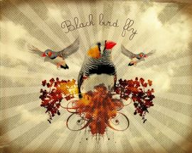 Bird flower vectors Wallpaper